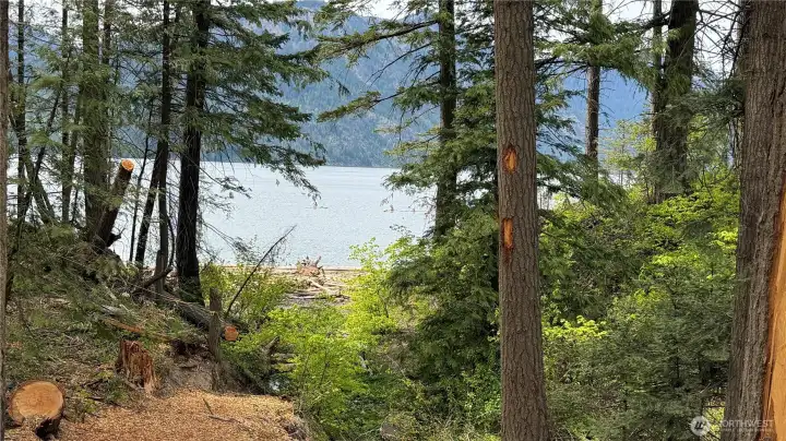 Lake view