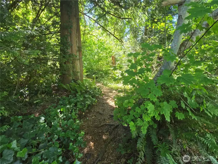 Your property is adjacent to acres of wooded land with a trail to the river just off your driveway.