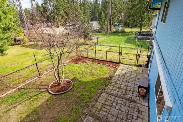 Fenced dog run in the backyard