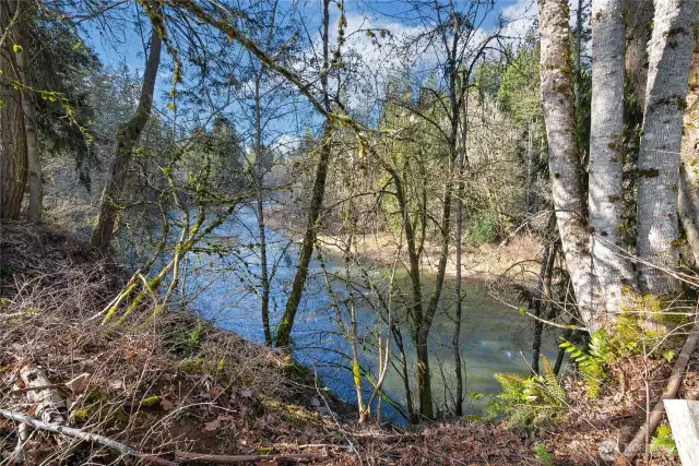Nisqually River from back yard