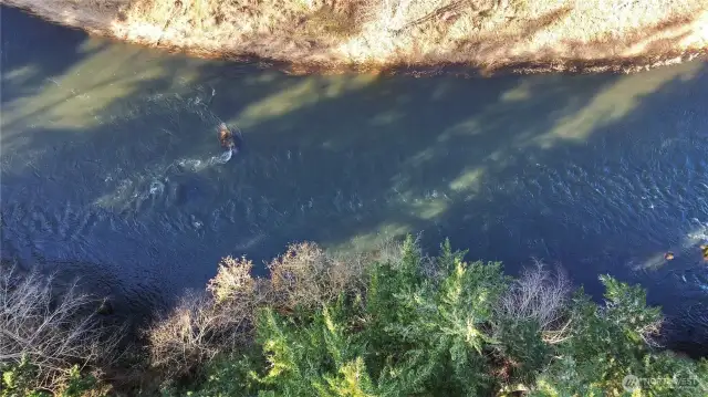 Nisqually River view from air off back yard