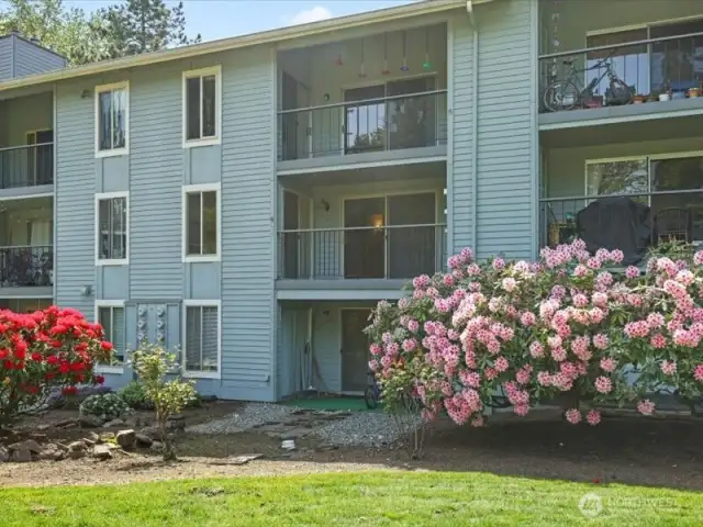 Sammamish Bluffs. 162 condominiums setting on 9.3 acres to enjoy! Lots of open space to enjoy!