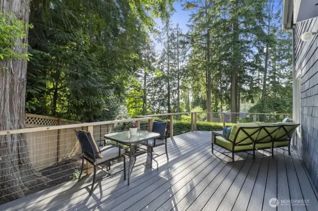 Remodeled patio with stainless steel cable railing for minimal upkeep and maximized views