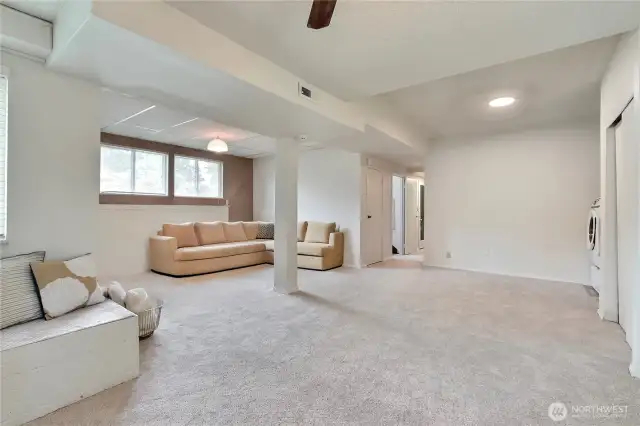 Virtually Staged Lower Level Livingroom