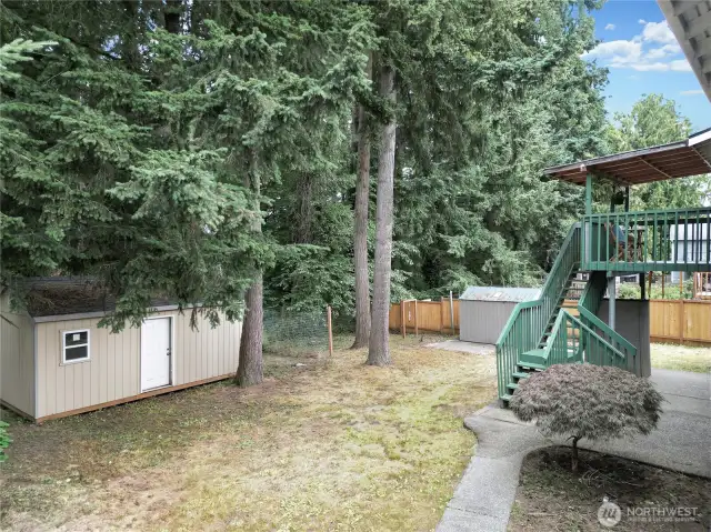 Backyard with large storage sheds