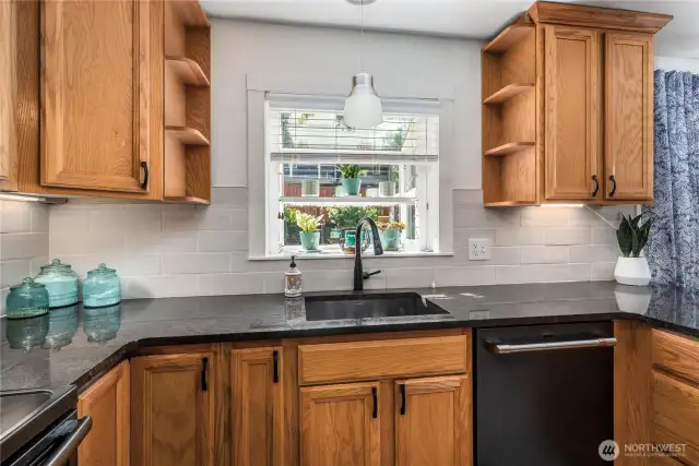 Window perfect for indoor plants