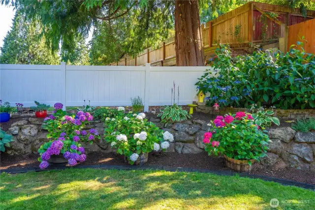 Mature garden with bright colors