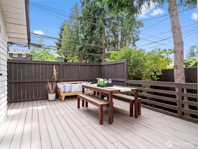 Downstairs yard area