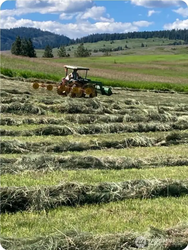 Hay Fields