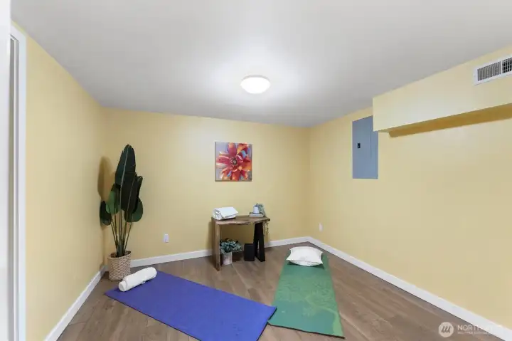 Lower Level Bonus Space