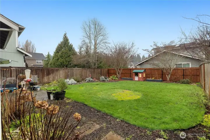 Large fenced backyard