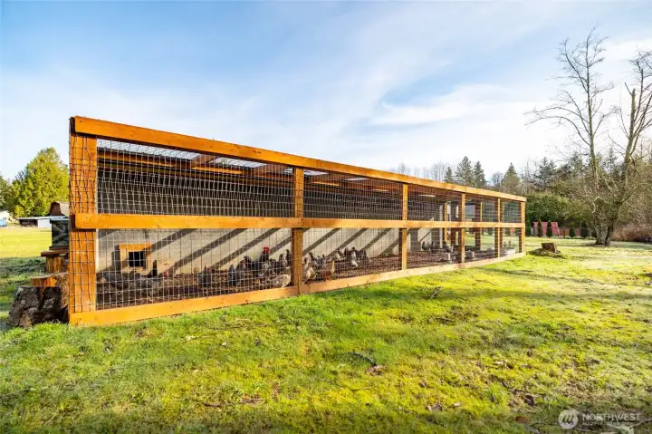 Large well-built chicken coop and run