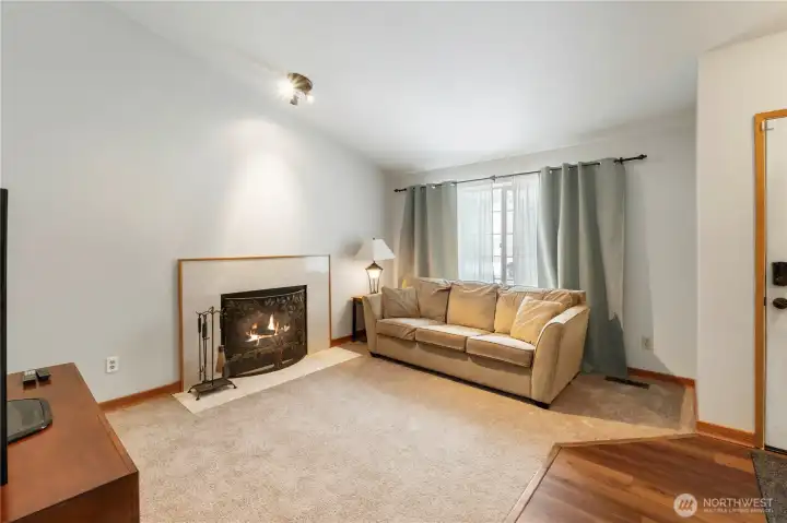 LR with wood burning fireplace