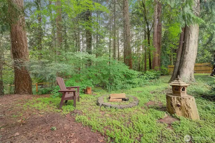 Bordered by the green belt of the Nature Preserve-- lots of quiet, peaceful places on the property. Completely fenced.
