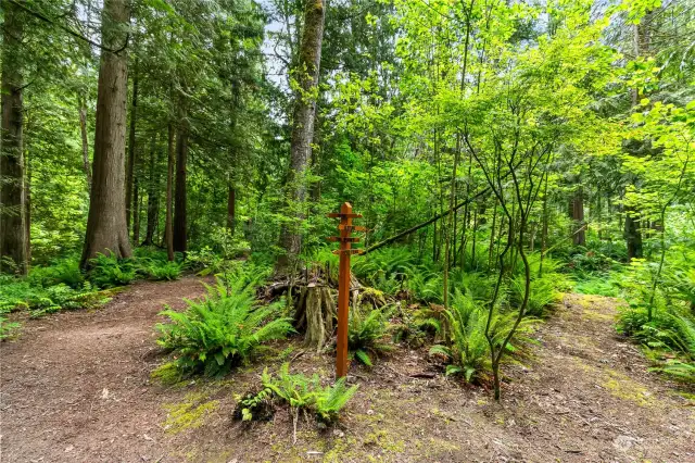 Park like groomed trails over 5 acres -  you could drive an ATV or Mt. bike over the entire property.