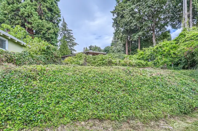 Property Extends up the Hill.  You can see the North Fence Property Line and the South Property Line close to the white and red pole. Vacated City Easement Road just Beyond