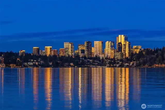 Sweeping views of the beautiful Bellevue skyline from just about everywhere on the property.