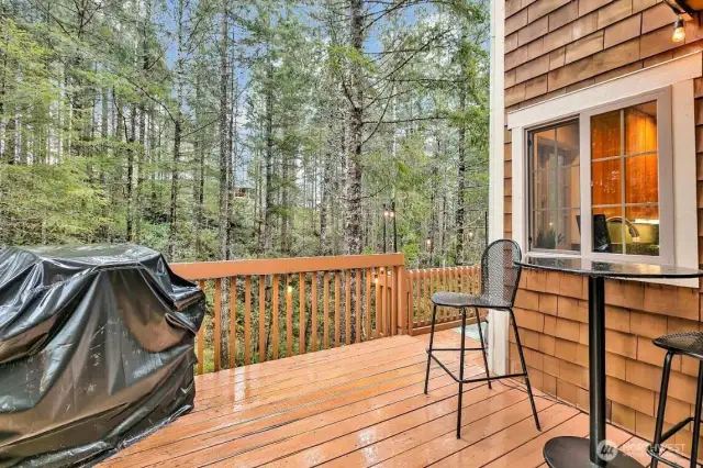 This is the deck off the dining room area. It is a great place to entertain or just have your morning coffee or tea! So serene and private.