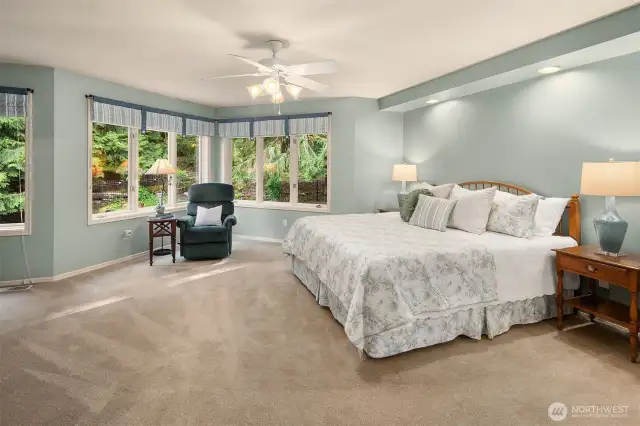 Large primary suite with back yard views.