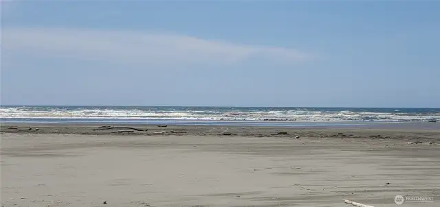 Welcome to the Pacific Ocean!