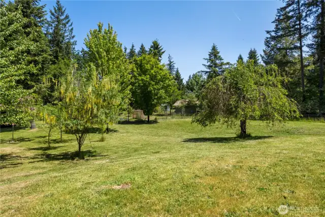 Fruit Trees