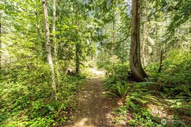 trails on property