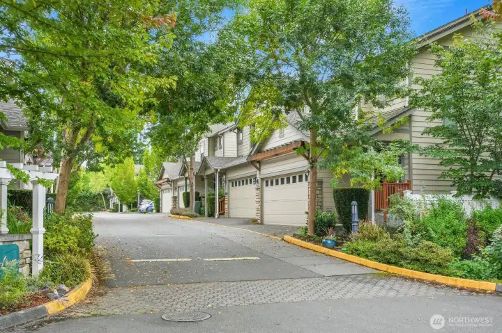 Quiet Entrance Lane to Property