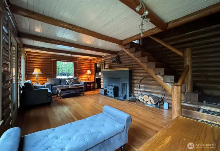 Living-room wood burning fireplace insert