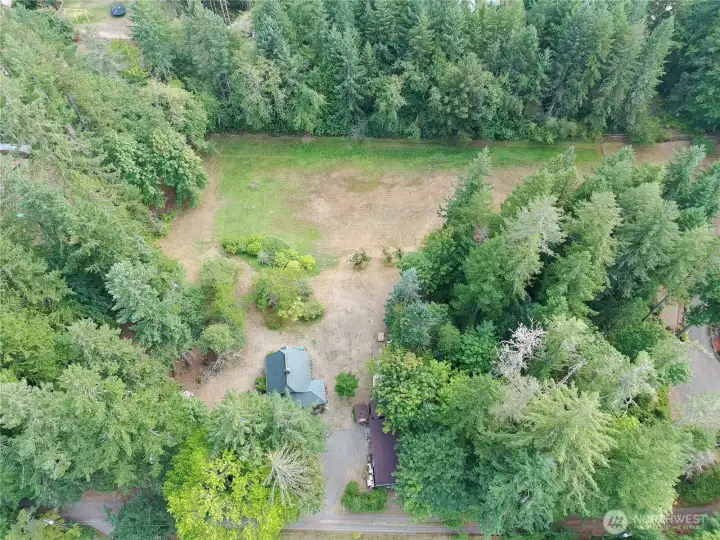 Flat acreage with fruit trees and berry bushes