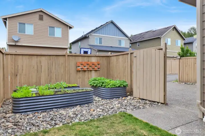 Raised Garden Beds in the private backyard