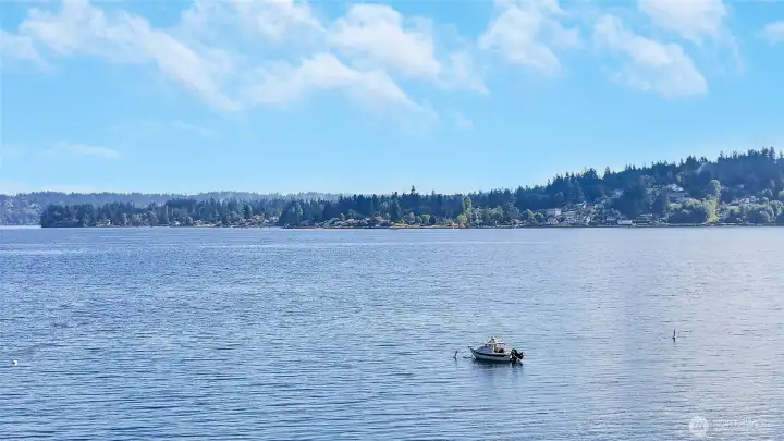 Looking south, on a clear day, you have a beautiful Mt Rainier view, a little haze out today.