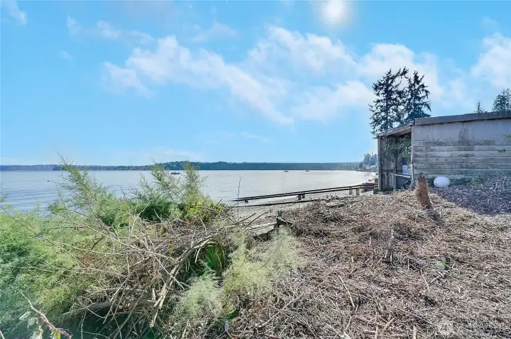 When you clear the lot, this will be your front yard. Imagin a beautiful lawn to ends at the beautiful sandy beach.