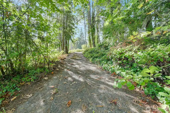The wooded driveway adds a calming effect, then they are greeted by the stunning views ahead.