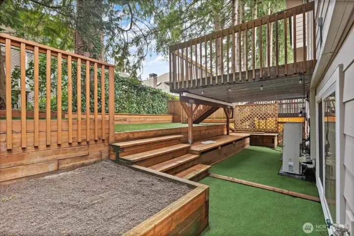 Low Maintenance Back Yard