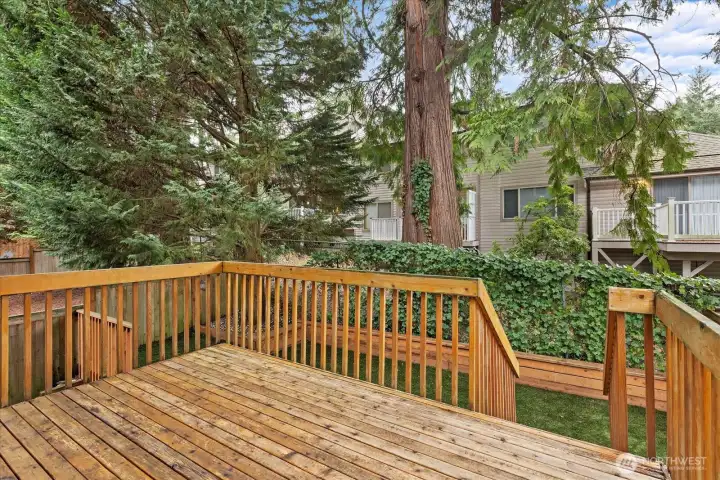 Back Yard Large Deck