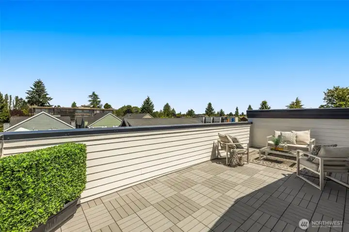 Rooftop retreat offers sweeping treetop and neighborhood views ideal for summer evenings.