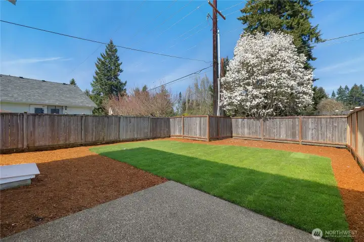 Fully fenced backyard with fresh new landscaping