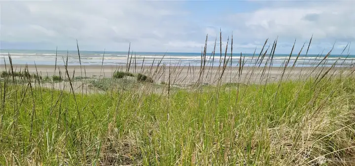 Step onto the sands of serenity—where the rhythm of the waves sets the tone for relaxation, and the horizon stretches endlessly before you.