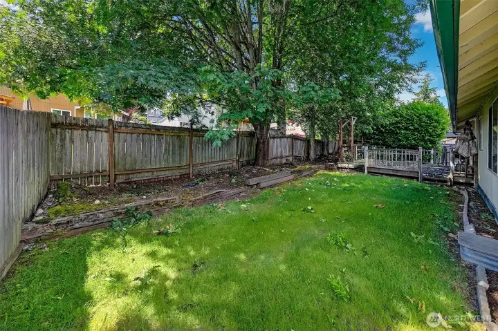 Backyard with lawn area Backyard with lawn area