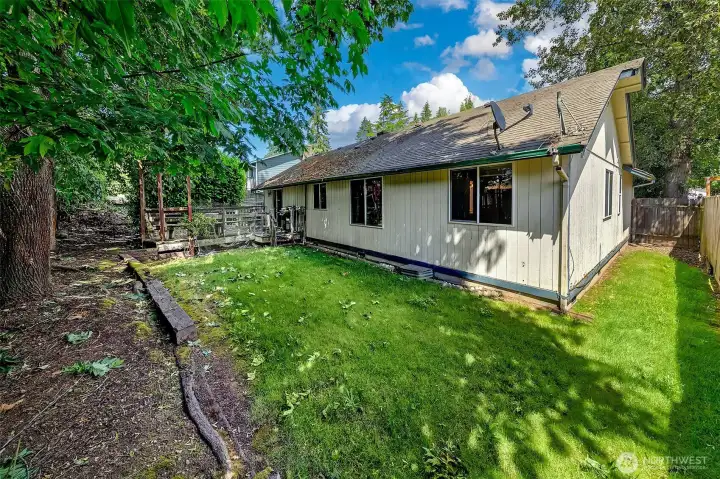 Backyard Backyard