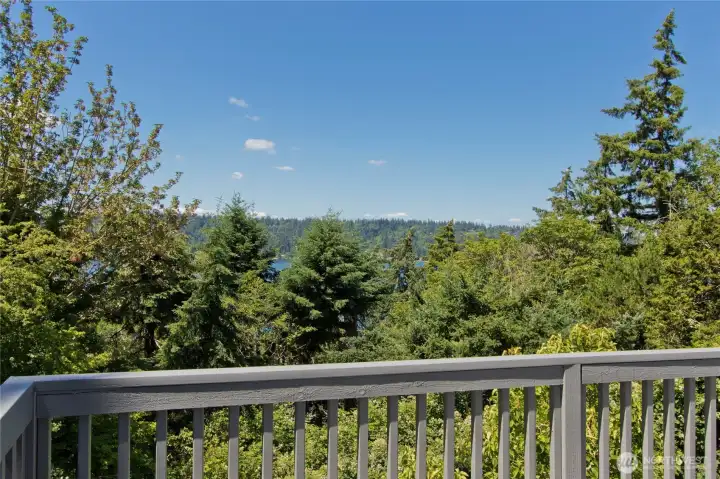 Back deck views