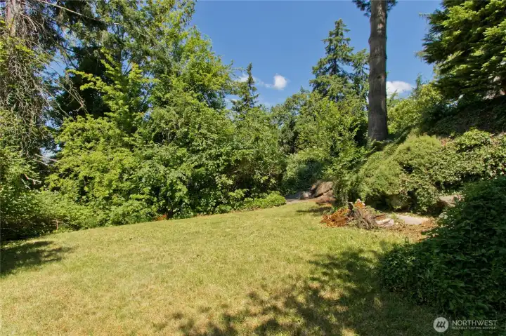 Backyard area