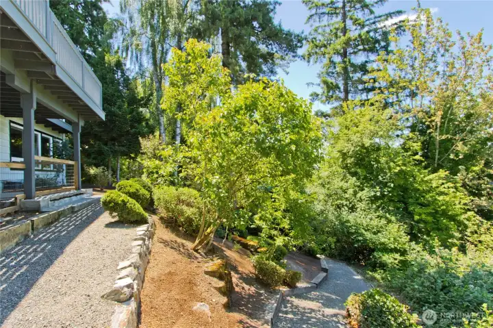 Backyard path