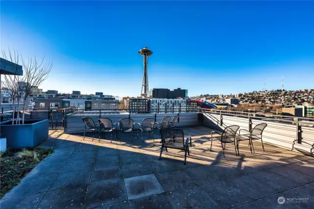 Yes, Space Needle views plus seating & BBQ from the fabulous rooftop deck.