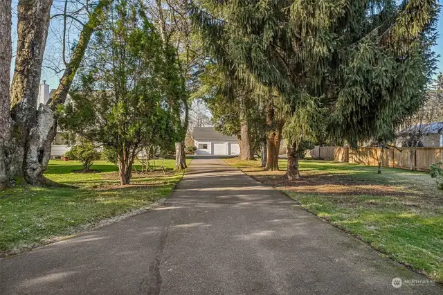 A long, winding driveway welcomes you home, leading to a picturesque setting surrounded by lush landscaping and mature trees.