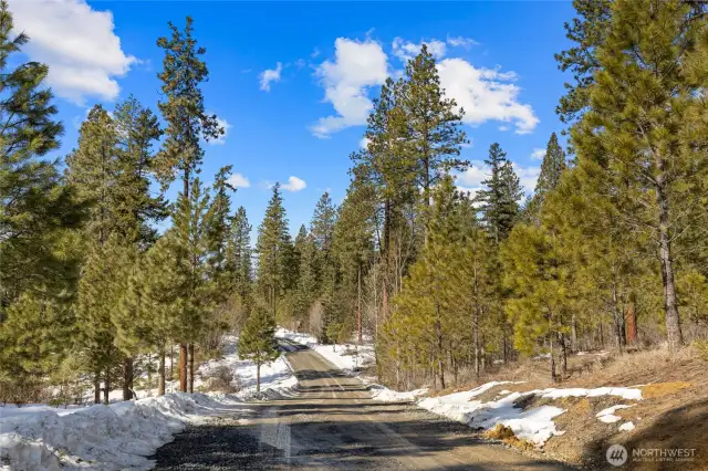 Game Trail Road.