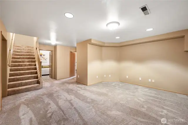 Family Room Downstairs
