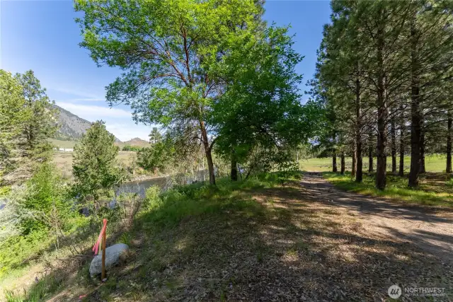 Southern property line is in a stand of mature pines providing a privacy screen.