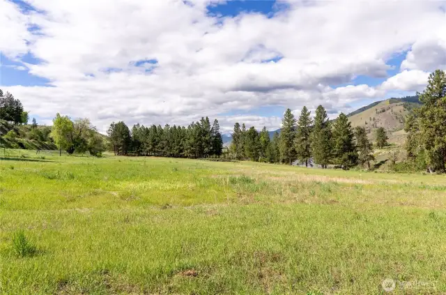 Irrigated pasture includes handlines and pod system.