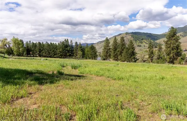 Looking south from the northeast corner of the property.
